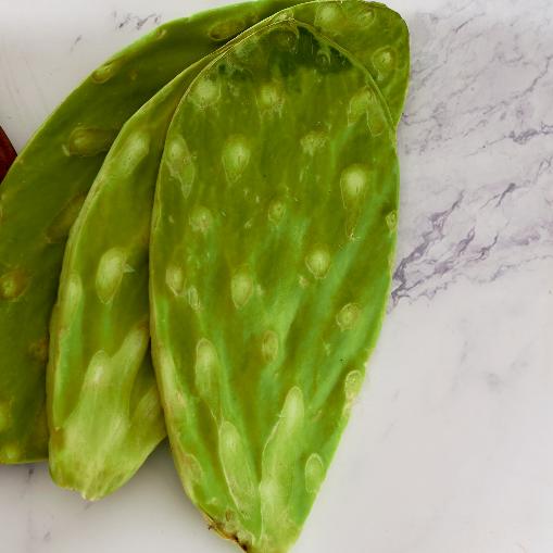 Nopal